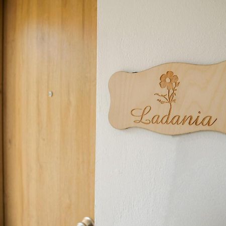 Sisaion Suites - Live The Cretan Hospitality Metokhion Apisiana Extérieur photo